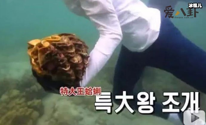 【红龙扑克】李烈音或被判5年, 因节目或成最惨女嘉宾