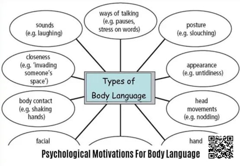 【红龙扑克】《卡罗的马脚大全》精华内容总结，一篇文章读懂一本书！