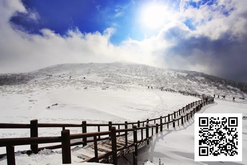 【红龙扑克】素白绒雪铺满济州，SUPER CUP掀起新年热潮！开幕赛200人次26人晋级！一起见证冠军产生！【SUPER CUP济州】