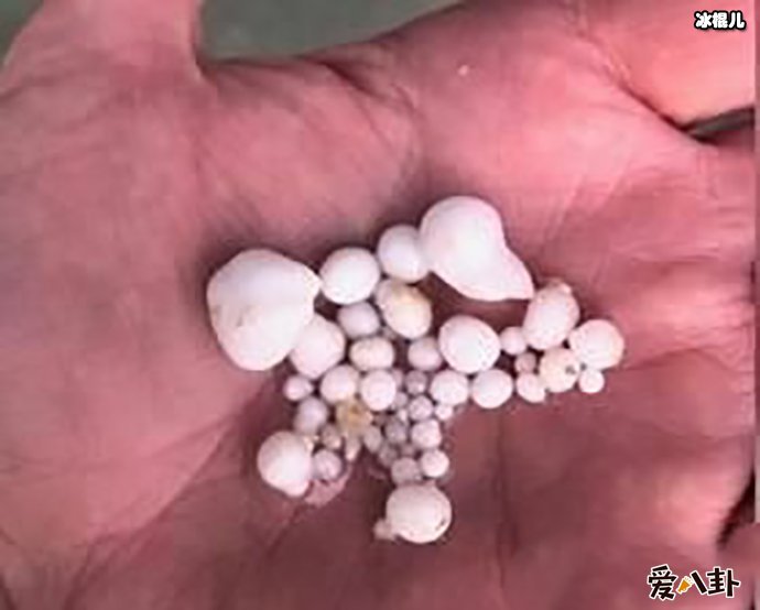 【红龙扑克】发现赚钱机密吃生蚝吐48颗!得知真相却被狠狠打脸!