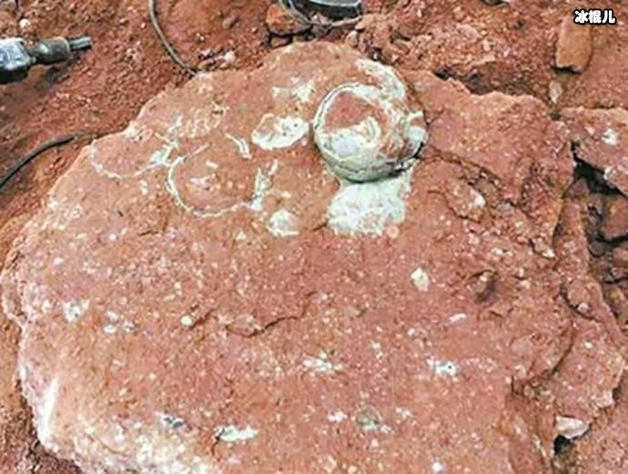 【红龙扑克】小学生游玩时发现六千万年前恐龙蛋！网友纷纷感慨！
