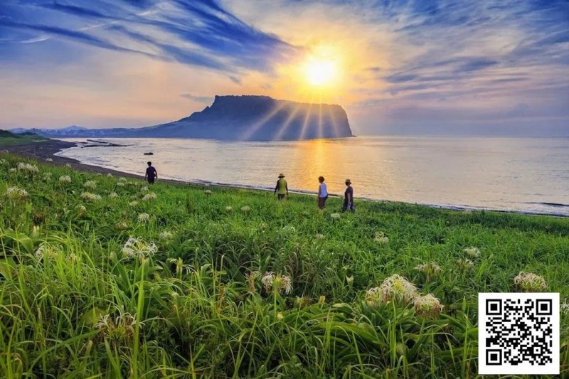 【红龙扑克】别Till，来Jeju Chill——必去景点+路线打包+管家制定