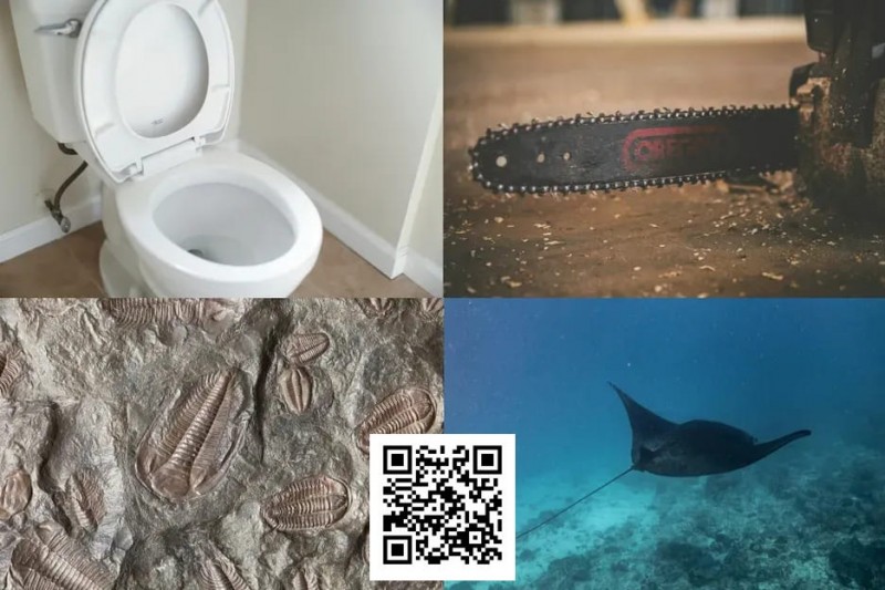 【红龙扑克】扑克界谁的绰号最炸裂：电锯、魔鬼鱼、石化人、马桶？