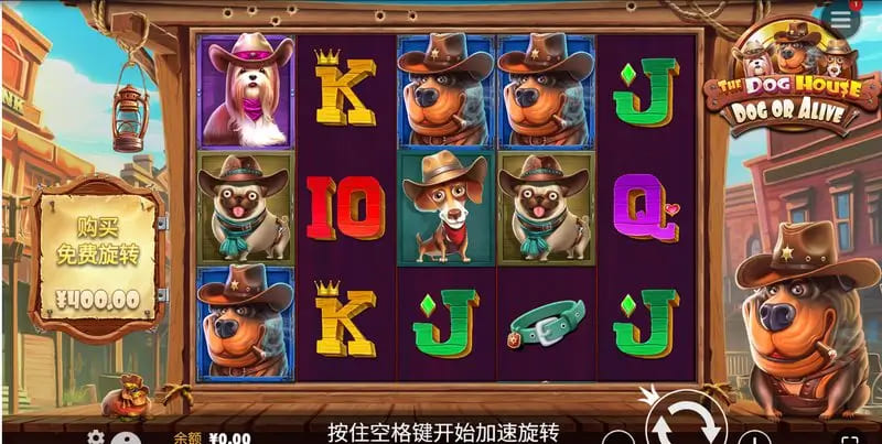 【红龙扑克】汪汪之家·狗狗神气 —— 大发娱乐全新萌宠主题老虎机深度介绍