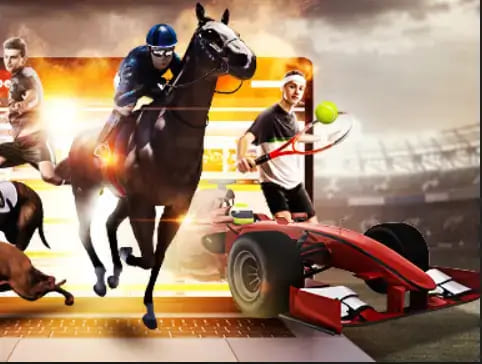 【红龙扑克】大发娱乐《百练赛》：巅峰竞技，燃爆全场的英雄对决！