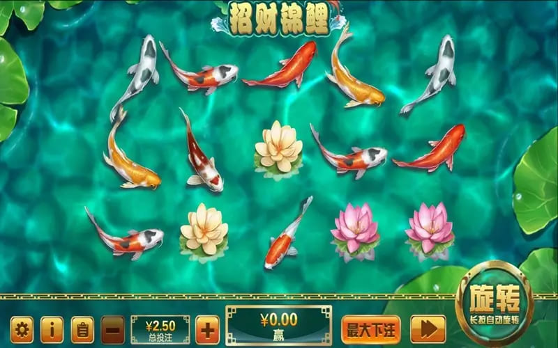 【红龙扑克】大发娱乐全新力作 —— 招财锦鲤，带你畅游好运与财富