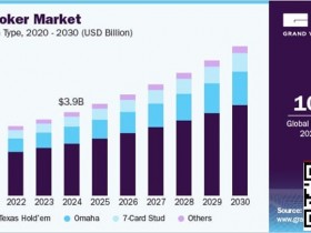 【红龙扑克】未来五年线上扑克市场报告:千亿赛道已然成型